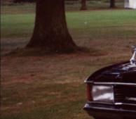 Bestatter von Coleman Milne