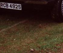 Bestatter von Coleman Milne