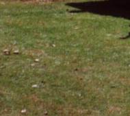 Stretchcoupe mit 4 T&uuml;ren und 7 Sitzpl&auml;tzen in 1a Zustand