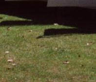 Stretchcoupe mit 4 T&uuml;ren und 7 Sitzpl&auml;tzen in 1a Zustand