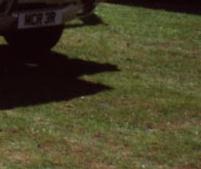 Stretchcoupe mit 4 T&uuml;ren und 7 Sitzpl&auml;tzen in 1a Zustand