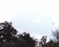 Coleman's Edelkombi als 7 Sitzer