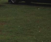 Coleman's Edelkombi als 7 Sitzer