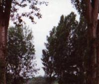 Interessantes Sondermodell "Consort"