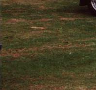 Interessantes Sondermodell "Consort"