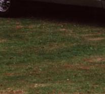 Interessantes Sondermodell "Consort"