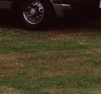 Interessantes Sondermodell "Consort"