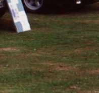 Interessantes Sondermodell "Consort"