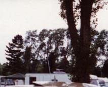 sehr gepflegter IIer Ghia