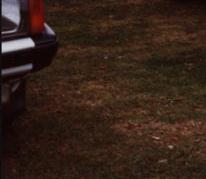 sehr gepflegter IIer Ghia