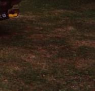 sehr gepflegter IIer Ghia