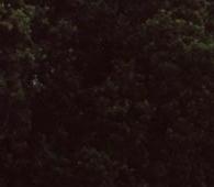 Seltsames Niveau mit auf der Haube sitzen