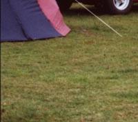 Seltsames Niveau mit auf der Haube sitzen