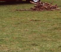 Seltsames Niveau mit auf der Haube sitzen