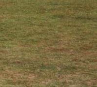 Seltsames Niveau mit auf der Haube sitzen