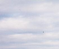 Viele Fremdfahrzeuge auf dem Platz