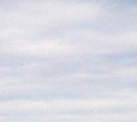 Viele Fremdfahrzeuge auf dem Platz