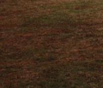 Viele Fremdfahrzeuge auf dem Platz