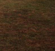 Viele Fremdfahrzeuge auf dem Platz