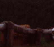 Mal wieder b&ouml;se Umbauten