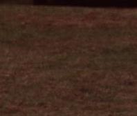 Mal wieder b&ouml;se Umbauten