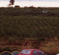 wei&szlig;e Blinker im Einser