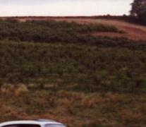 wei&szlig;e Blinker im Einser