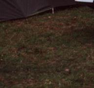 wei&szlig;e Blinker im Einser