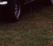 wei&szlig;e Blinker im Einser