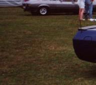 Sch&ouml;nes Caprio. Sieht offen besser aus. Leider kein Bild, sorry