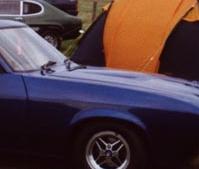 Sch&ouml;nes Caprio. Sieht offen besser aus. Leider kein Bild, sorry