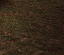 Sch&ouml;nes Caprio. Sieht offen besser aus. Leider kein Bild, sorry