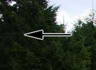 zur&uuml;ck zur &Uuml;bersicht